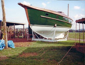 Willow Front